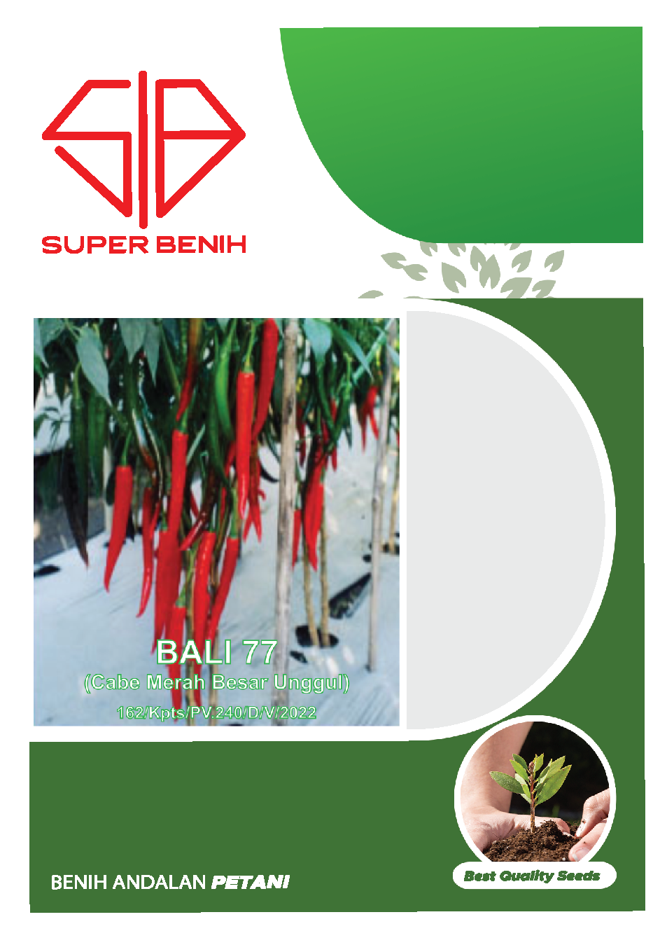 Bali 77-01