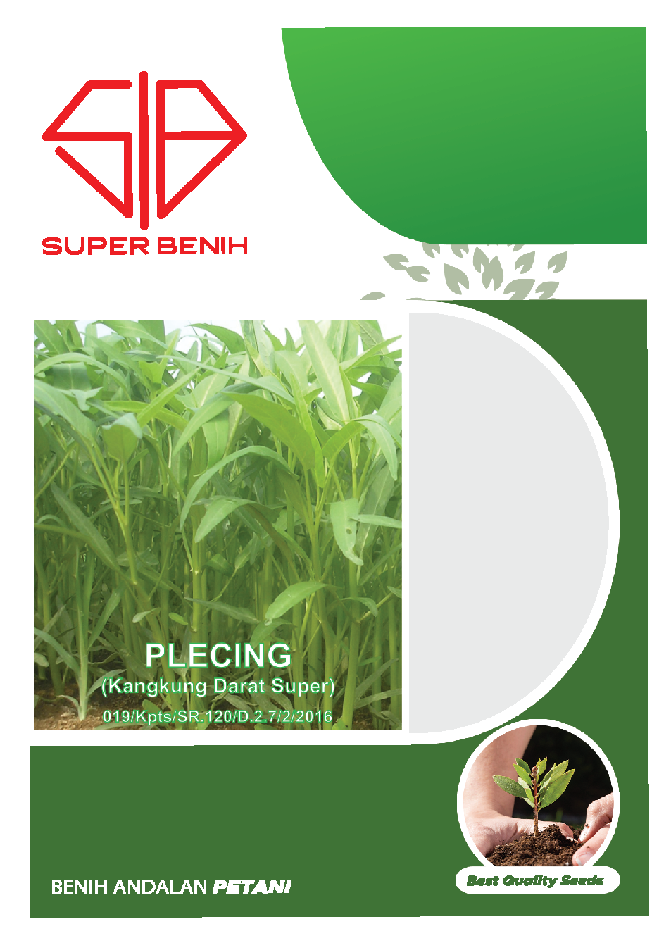 Plecing-01